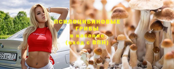 мескалин Абдулино